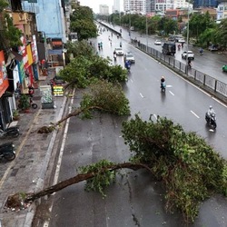 Ghi nhận hiện trường sau cơn bão số 3 (bão Yagi)