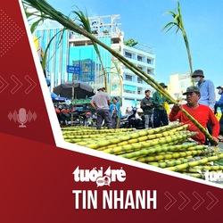 Tin tức tối 5-2: Mía vàng 70.000 đồng/cặp đắt hàng trước ngày vía Ngọc Hoàng