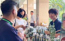 Thiết kế ESOP cho startup: Giữ chân nhân tài bằng 'vàng tương lai' hay chiếc bẫy pha loãng?