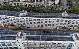 Nhà ở cho thuê tăng sức hút khi giá nhà vượt khả năng chi trả