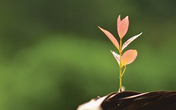 Kết thúc để bắt đầu…