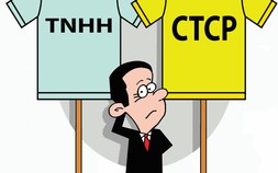 Chọn chiếc áo pháp lý cho startup: Quyết định nền móng ảnh hưởng cả hành trình