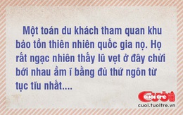 Vì sao vẹt nói ngoại ngữ?