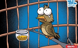 Chuyện tào lao: Chú chim sẻ bị đi tù