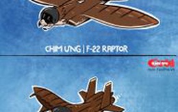 Nếu chim ưng là F-22 Raptor, chim cú là Su-30MKI thì chim cắt là gì?