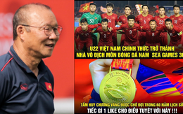 Ảnh chế: Thầy trò HLV Park Hang-seo hạ knock out Indonesia giành HC Vàng SEA Games