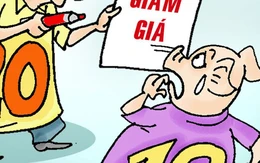 Canh Tý tỏ ra cảnh giác với Kỷ Hợi