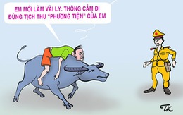 Phương tiện đi nhậu chiều Chủ nhật