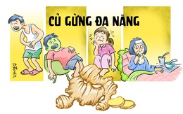 Ngày tết, nhớ thủ gừng trong bếp