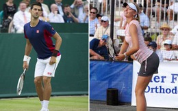 Maria Sharapova bị Djokovic và Dimitrov "đạo"