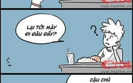 Cậu chủ mất mùi, chó chạy mất dép