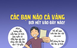 Các bạn 'não cá vàng' bơi hết vào đây nào!