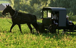 Mỹ: Kinh doanh online nhưng không xài Internet? Người Amish xoay sở bán hàng giữa covid-19