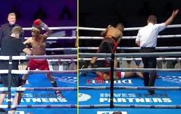 Võ sĩ nhảy múa trước khi thượng đài bị hạ knock-out ngay hiệp 1