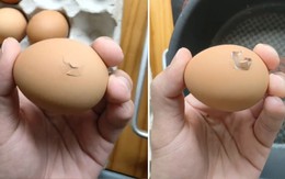 Cú lừa hoàn hảo của chàng trai rán trứng