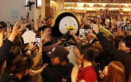 Giới trẻ Hàn Quốc phát cuồng vì chim cánh cụt khổng lồ Pengsoo