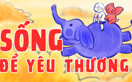 Chú voi, trái dứa và thông điệp sống để yêu thương