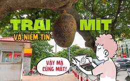 Có nhiều thứ khiến ta mất niềm tin vào cuộc sống