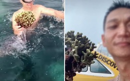 Thanh niên đã bẻ san hô còn mạnh miệng phản bác cực gắt