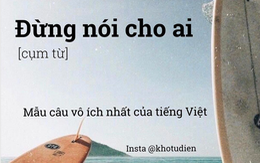 Muốn thành 'vựa muối' của hội bạn thân cứ lên MXH xem kho từ điển