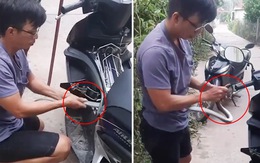 Người đàn ông bắt rắn chui bên trong chiếc xe máy bằng tay không khiến người xem 'thót tim'