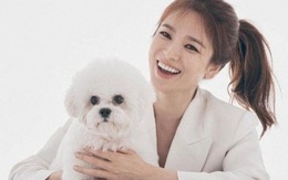 Không còn im lặng cho qua, Song Hye Kyo đã chịu lên tiếng về tin đồn tái hợp Hyun Bin