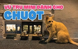 Vũ trụ song song dành cho chuột trên đường phố châu Âu