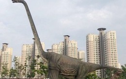 Netizen Hàn đòi 'bó bột' khủng long bị gãy cổ vì bão lớn
