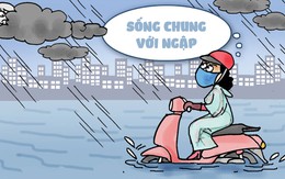Sống chung với ngập