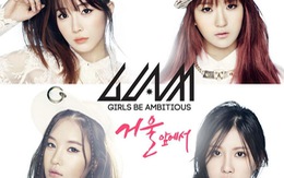 T-ara, A.Kor, Glam, AOA bị chỉ trích gay gắt vì những trò lố