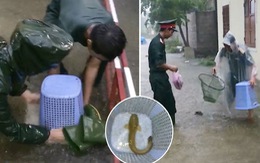 Chú bộ đội dùng sọt rác bắt cá trê trên đường ngập ở Huế