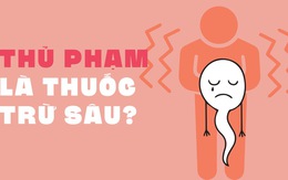 Thuốc trừ sâu làm giảm chất lượng tinh binh?