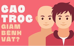 Cạo trọc sẽ giảm bị bệnh vặt?