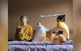 'Cậu vàng' xỉu khi thấy cậu chủ hôn bạn gái