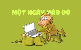 Một ngày nào đó động vật hoang dã sẽ phải tập sống online