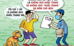 Chủ và chó đều bị phạt vì không đeo 'khẩu trang'