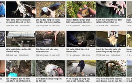 YouTuber Việt ở Nhật làm video bắt cá, hái quả bị phản ứng gay gắt