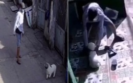 Hai thanh niên trộm chó cảnh trong hẻm Sài Gòn