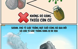 Chuyện rõ ràng về chú tê giác trắng đực cuối cùng ở Kenya