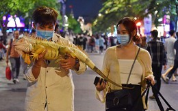TP.HCM: Dắt 'bò sát cưng' đi xem bắn pháo hoa giao thừa 2021