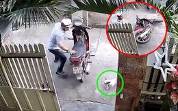 Gia chủ bị cún cưng chơi trò 'bịt mắt bắt dê' đổ cả xe máy