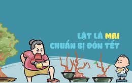 Ký ức tuổi thơ: Lặt lá mai đón Tết