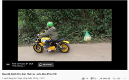 YouTuber Tam Mao bán chó gây phẫn nộ: Treo bé cún lủng lẳng trên xe