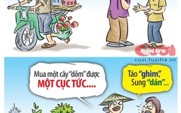 Táo 'ghim', sung 'dán' xuống đường du xuân