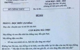 Đề kiểm tra Ngữ Văn ở Gia Lai có nội dung nhạy cảm:Dân mạng hú hồn!