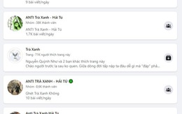 Xuất hiện group anti Hải Tú, netizen bóc 'tuesday là sự thật'