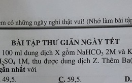 Muôn kiểu slogan bài tập về nhà dịp Tết khiến dân mạng thích thú