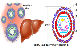 Đi đêm ắt có ngày gặp... virus