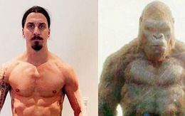 Ibrahimovic tuyên bố có thể đánh bại King Kong