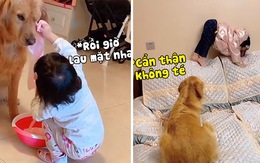 Khi 'Gâu Đần' là bảo mẫu của bé Sen